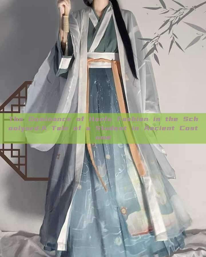 The Dominance of Hanfu Fashion in the Schoolyard:A Tale of a Student in Ancient Costume The Dominance of Hanfu Fashion in the Schoolyard:A Tale of a Student in Ancient Costume