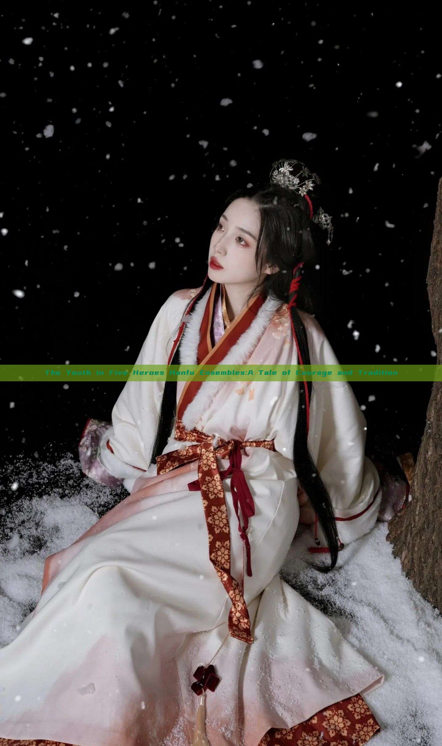 The Youth in Five Heroes Hanfu Ensembles:A Tale of Courage and Tradition The Youth in Five Heroes Hanfu Ensembles:A Tale of Courage and Tradition
