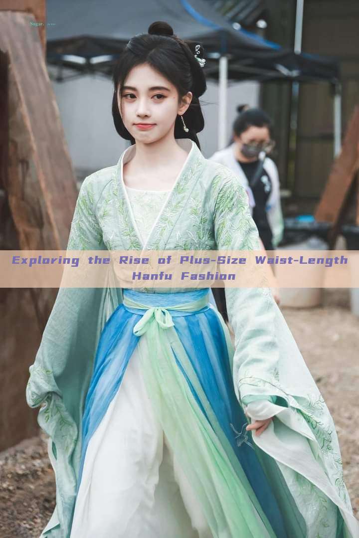 Exploring the Rise of Plus-Size Waist-Length Hanfu Fashion Exploring the Rise of Plus-Size Waist-Length Hanfu Fashion