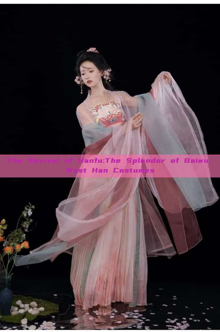 The Revival of Hanfu:The Splendor of Baiwu West Han Costumes The Revival of Hanfu:The Splendor of Baiwu West Han Costumes