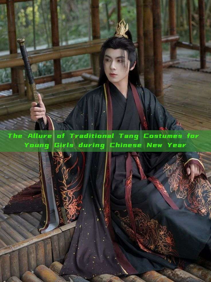 The Allure of Traditional Tang Costumes for Young Girls during Chinese New Year The Allure of Traditional Tang Costumes for Young Girls during Chinese New Year