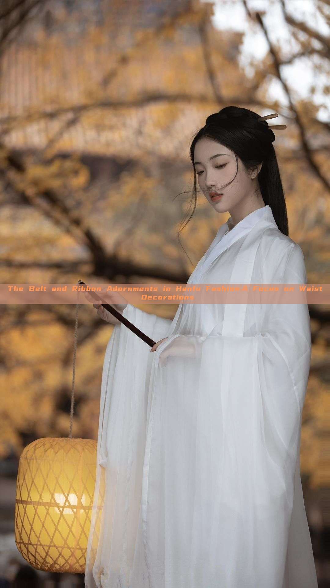 The Belt and Ribbon Adornments in Hanfu Fashion:A Focus on Waist Decorations