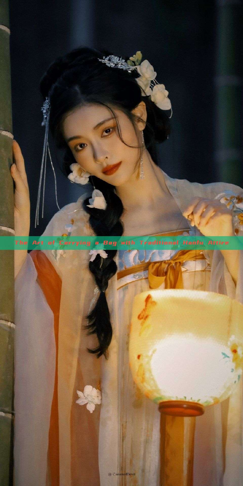 The Art of Carrying a Bag with Traditional Hanfu Attire The Art of Carrying a Bag with Traditional Hanfu Attire