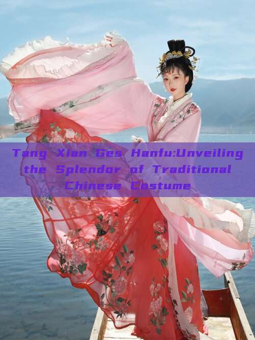 Tang Xian Ges Hanfu:Unveiling the Splendor of Traditional Chinese Costume