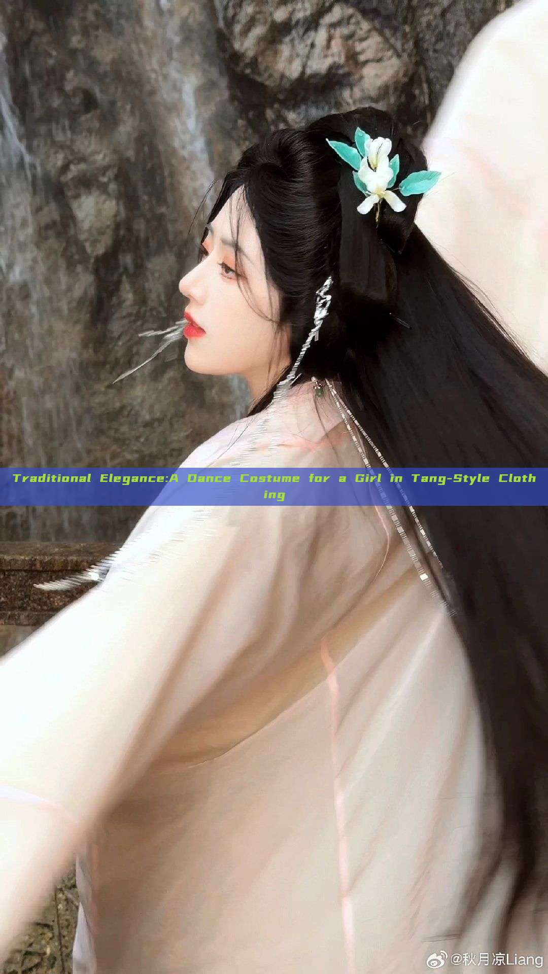 Traditional Elegance:A Dance Costume for a Girl in Tang-Style Clothing Traditional Elegance:A Dance Costume for a Girl in Tang-Style Clothing