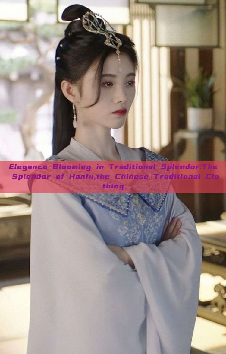 Elegance Blooming in Traditional Splendor:The Splendor of Hanfu,the Chinese Traditional Clothing Elegance Blooming in Traditional Splendor:The Splendor of Hanfu,the Chinese Traditional Clothing