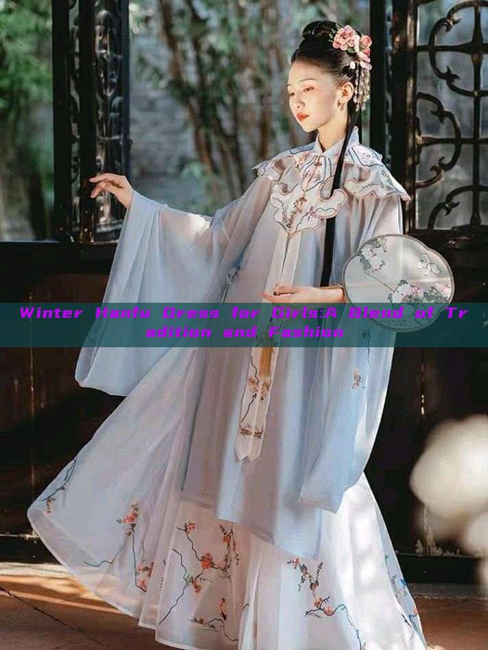 Winter Hanfu Dress for Girls:A Blend of Tradition and Fashion Winter Hanfu Dress for Girls:A Blend of Tradition and Fashion