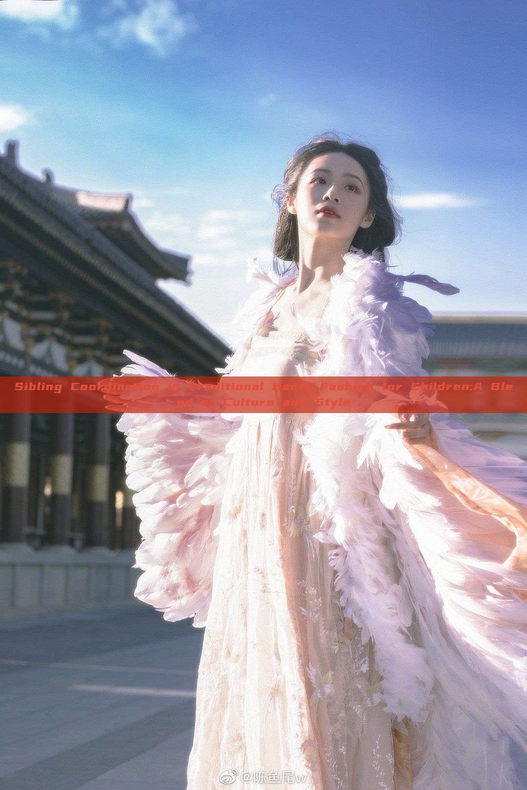 Sibling Coordination in Traditional Hanfu Fashion for Children:A Blend of Culture and Style Sibling Coordination in Traditional Hanfu Fashion for Children:A Blend of Culture and Style