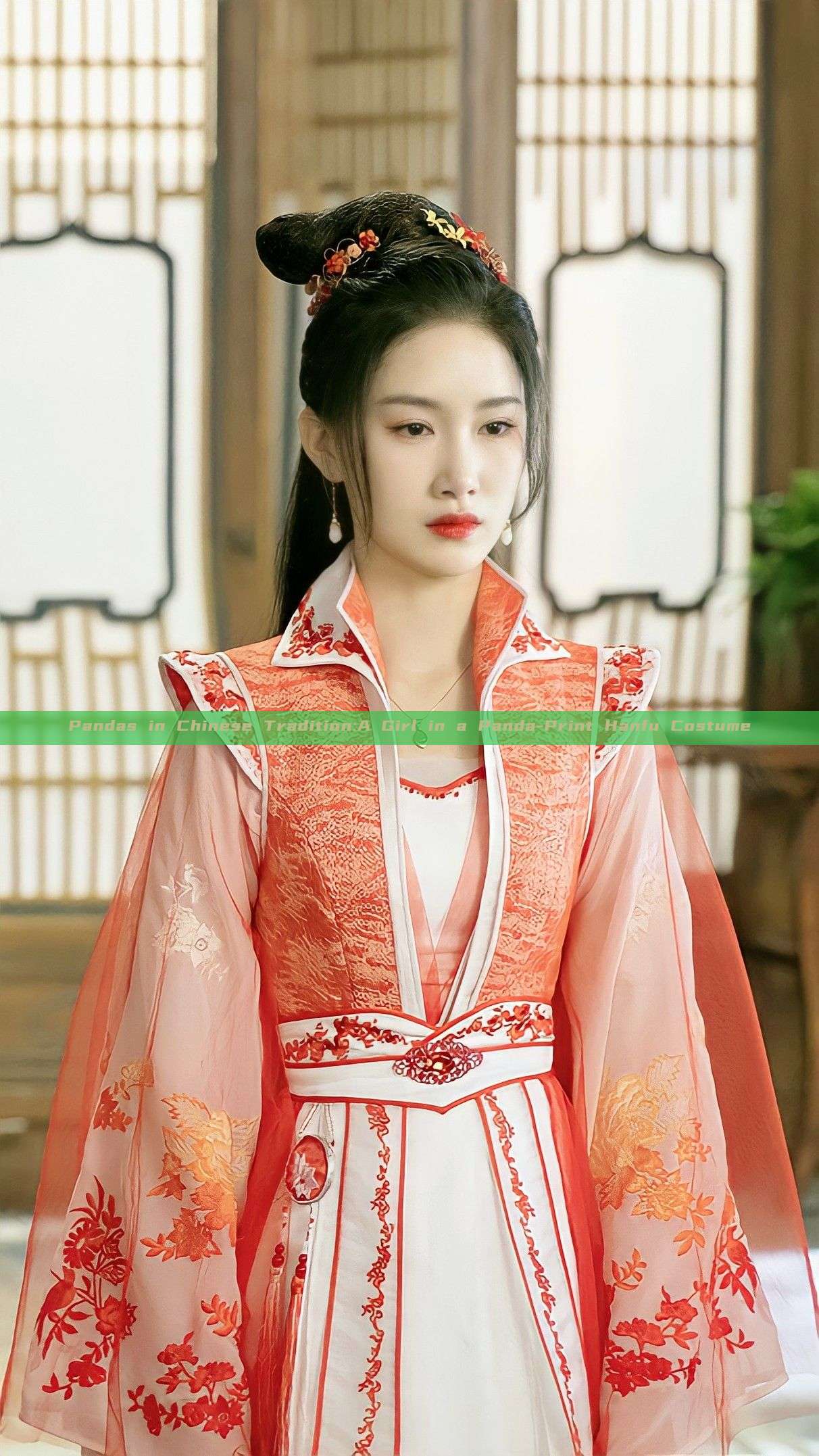 Pandas in Chinese Tradition:A Girl in a Panda-Print Hanfu Costume Pandas in Chinese Tradition:A Girl in a Panda-Print Hanfu Costume