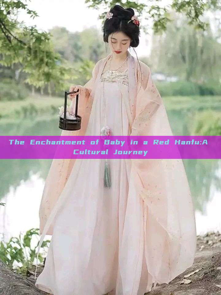 The Enchantment of Baby in a Red Hanfu:A Cultural Journey The Enchantment of Baby in a Red Hanfu:A Cultural Journey