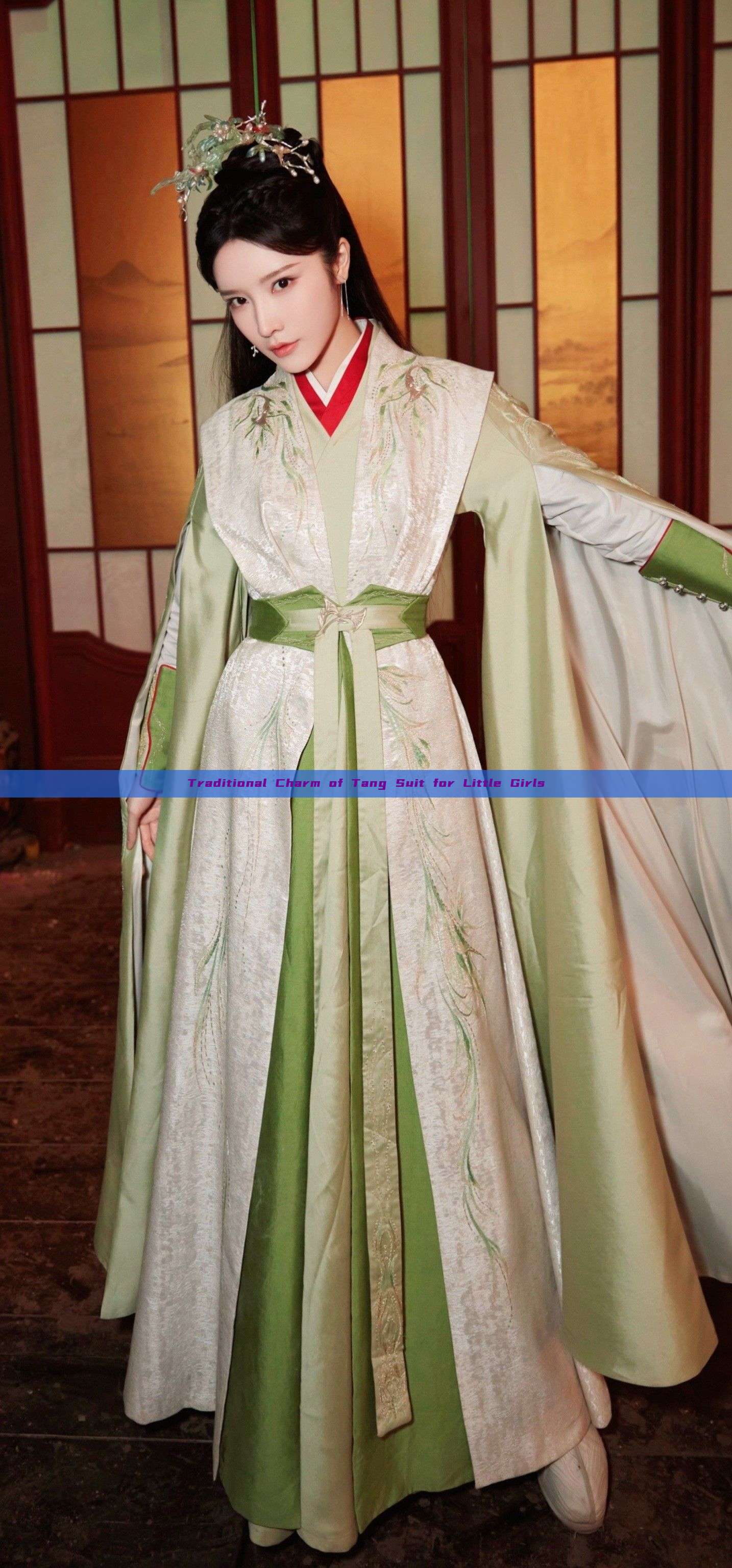 Traditional Charm of Tang Suit for Little Girls Traditional Charm of Tang Suit for Little Girls
