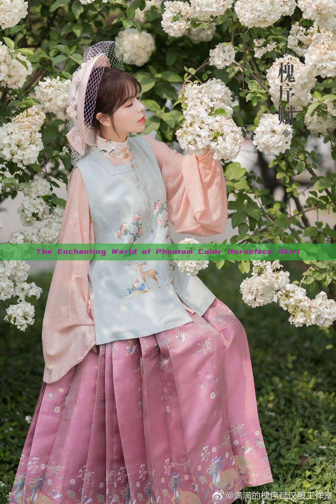 The Enchanting World of Phantom Color Horseface Skirt The Enchanting World of Phantom Color Horseface Skirt