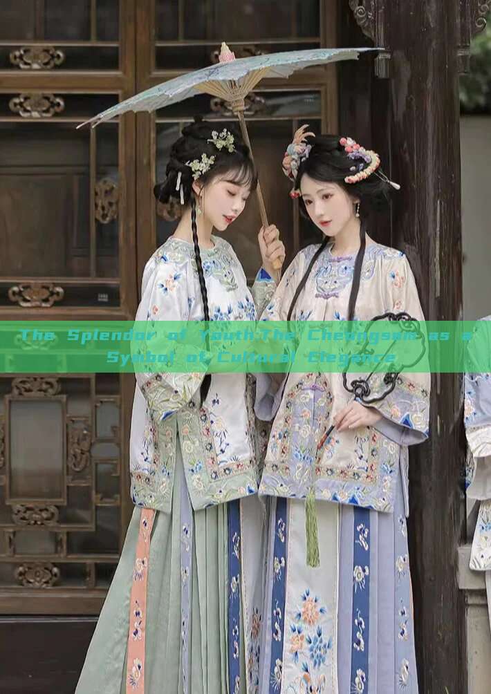The Splendor of Youth:The Cheongsam as a Symbol of Cultural Elegance The Splendor of Youth:The Cheongsam as a Symbol of Cultural Elegance
