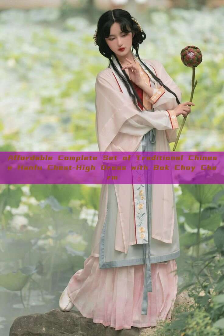 Affordable Complete Set of Traditional Chinese Hanfu Chest-High Dress with Bok Choy Charm