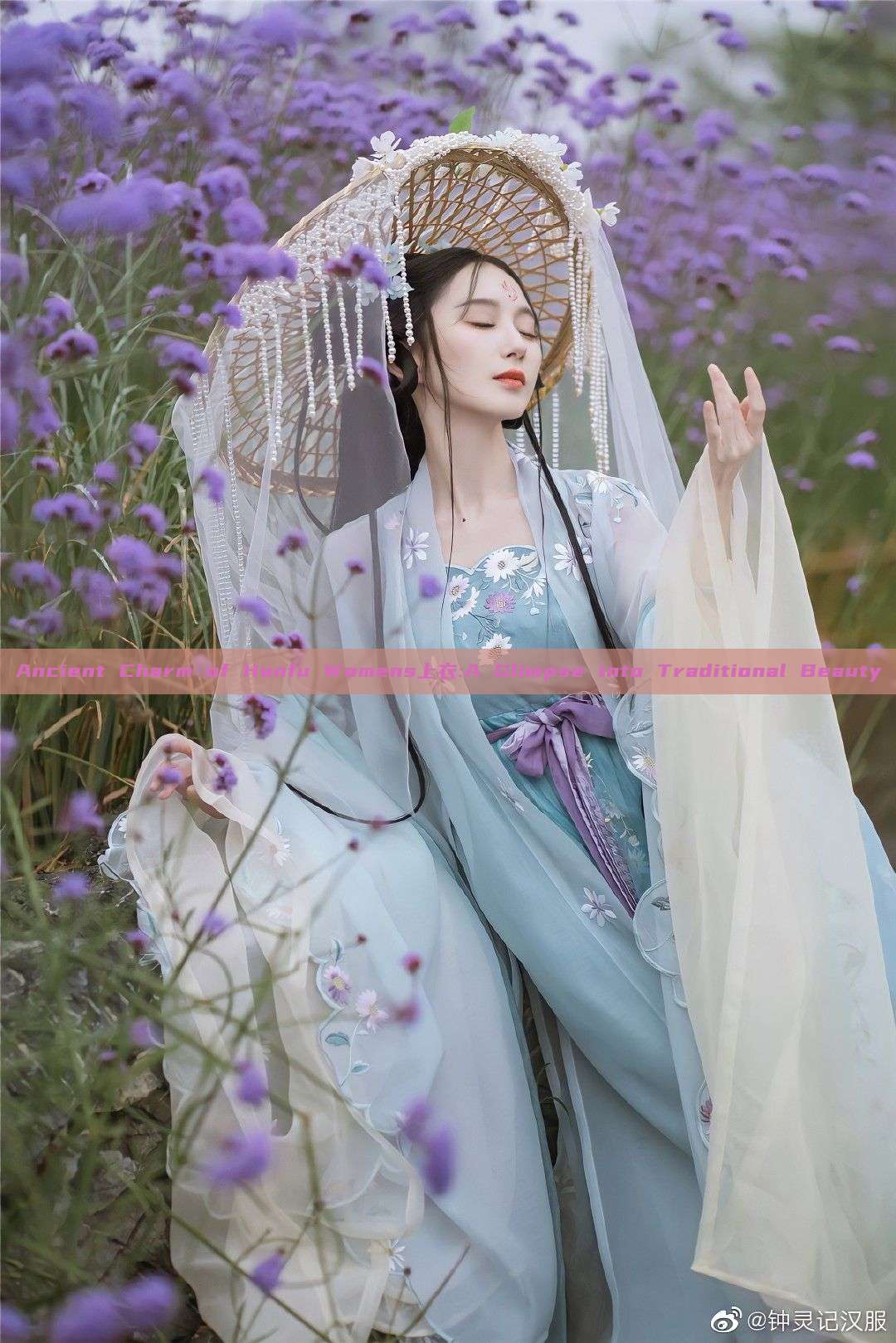 Ancient Charm of Hanfu Womens上衣:A Glimpse into Traditional Beauty Ancient Charm of Hanfu Womens上衣:A Glimpse into Traditional Beauty