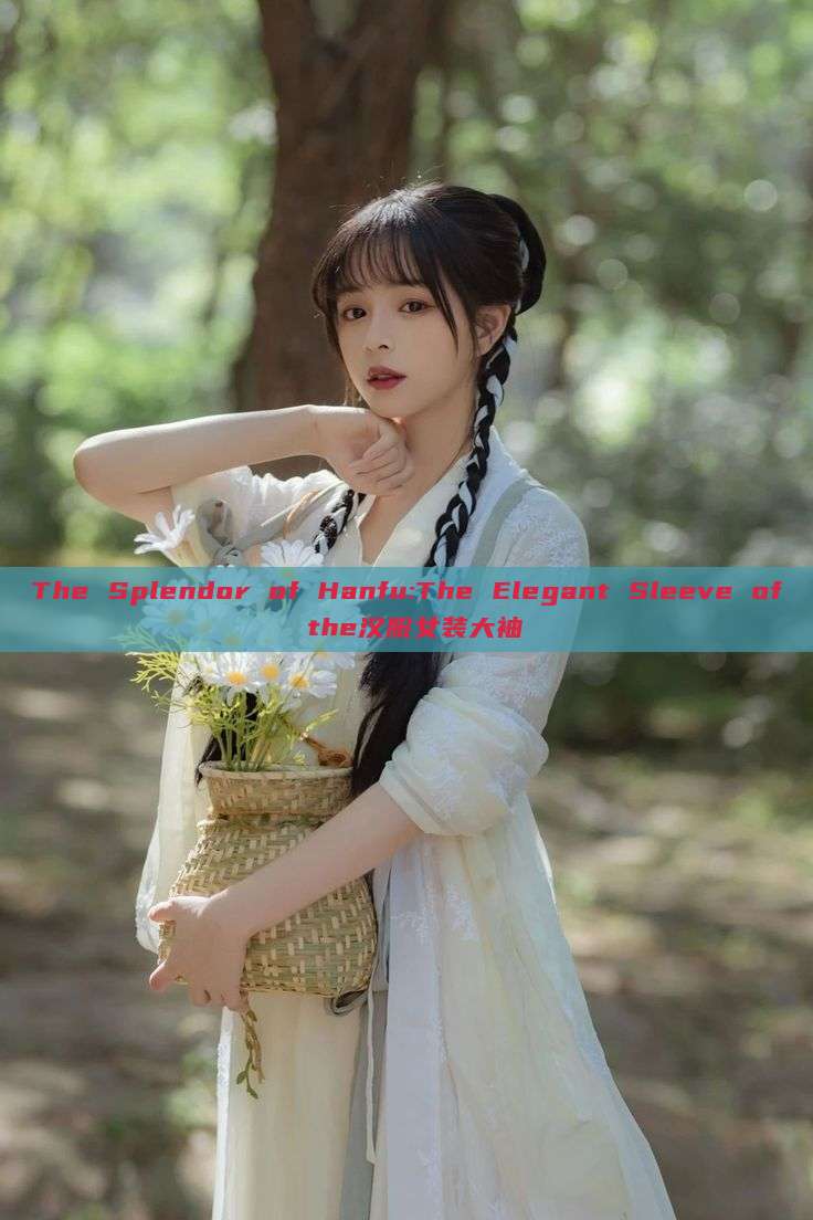 The Splendor of Hanfu:The Elegant Sleeve of the汉服女装大袖 The Splendor of Hanfu:The Elegant Sleeve of the汉服女装大袖