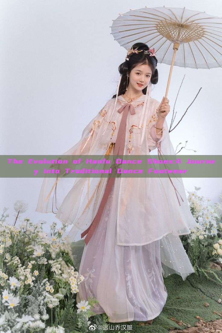 The Evolution of Hanfu Dance Shoes:A Journey into Traditional Dance Footwear The Evolution of Hanfu Dance Shoes:A Journey into Traditional Dance Footwear