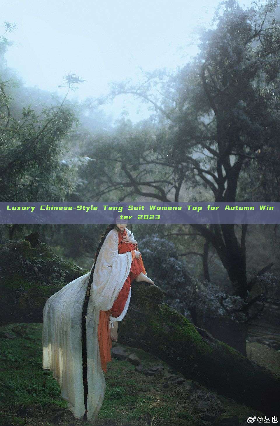 Luxury Chinese-Style Tang Suit Womens Top for Autumn Winter 2023 Luxury Chinese-Style Tang Suit Womens Top for Autumn Winter 2023
