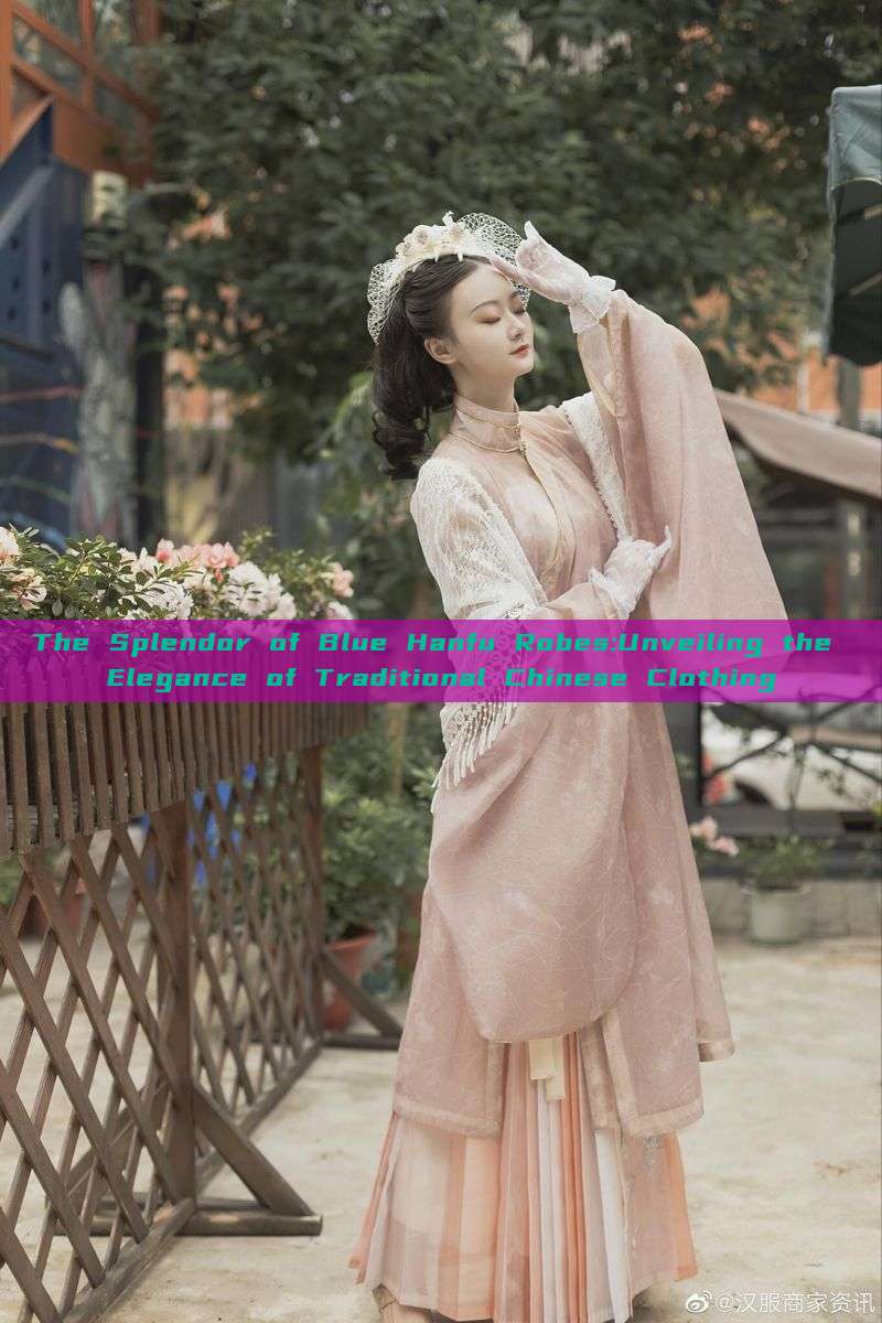The Splendor of Blue Hanfu Robes:Unveiling the Elegance of Traditional Chinese Clothing The Splendor of Blue Hanfu Robes:Unveiling the Elegance of Traditional Chinese Clothing