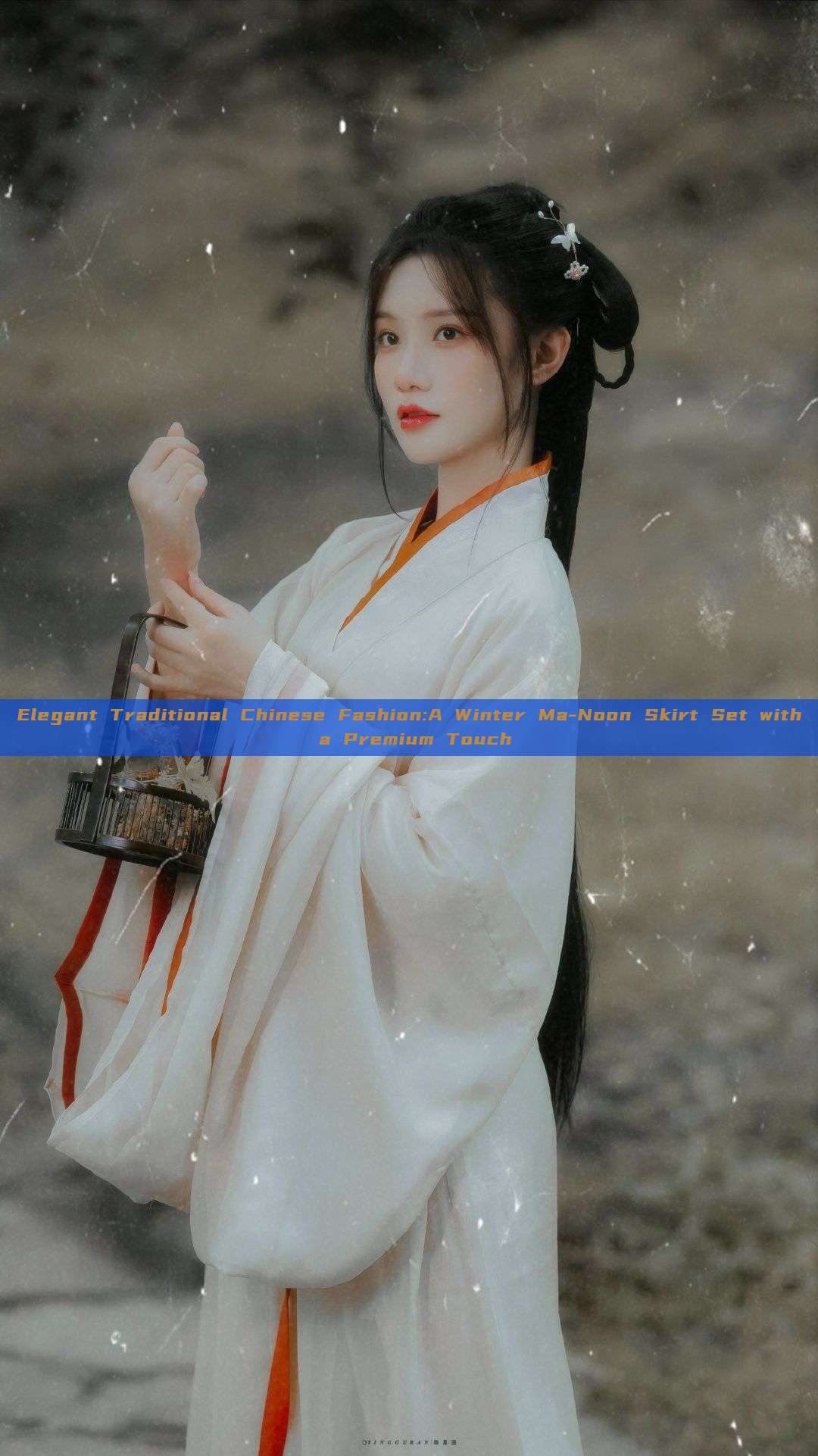Elegant Traditional Chinese Fashion:A Winter Ma-Noon Skirt Set with a Premium Touch Elegant Traditional Chinese Fashion:A Winter Ma-Noon Skirt Set with a Premium Touch