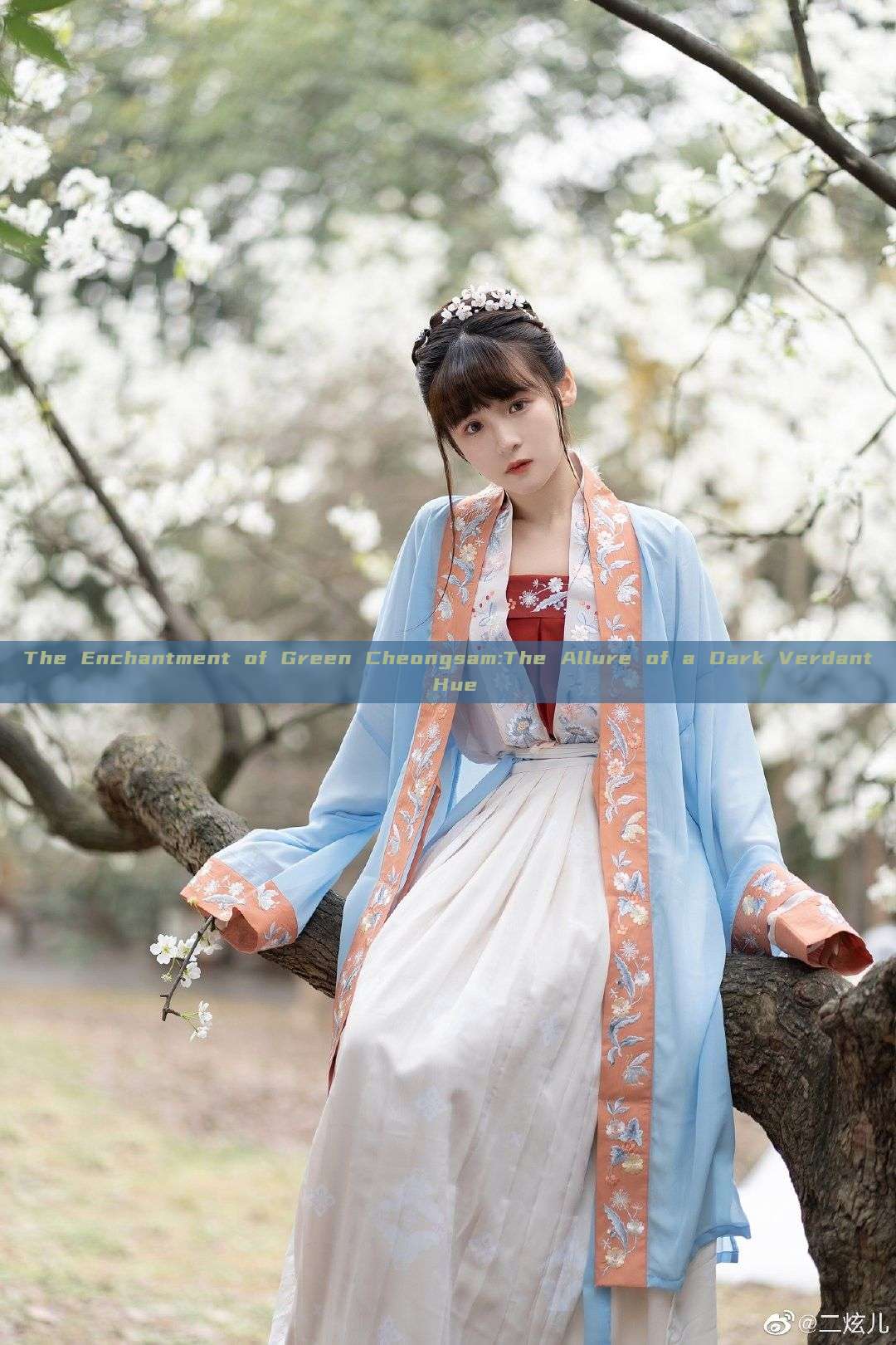 The Enchantment of Green Cheongsam:The Allure of a Dark Verdant Hue The Enchantment of Green Cheongsam:The Allure of a Dark Verdant Hue
