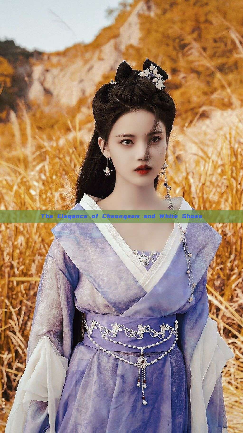 The Elegance of Cheongsam and White Shoes