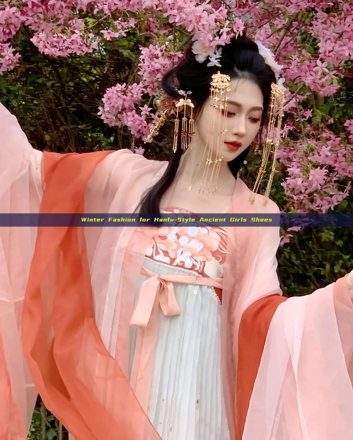 Winter Fashion for Hanfu-Style Ancient Girls Shoes Winter Fashion for Hanfu-Style Ancient Girls Shoes