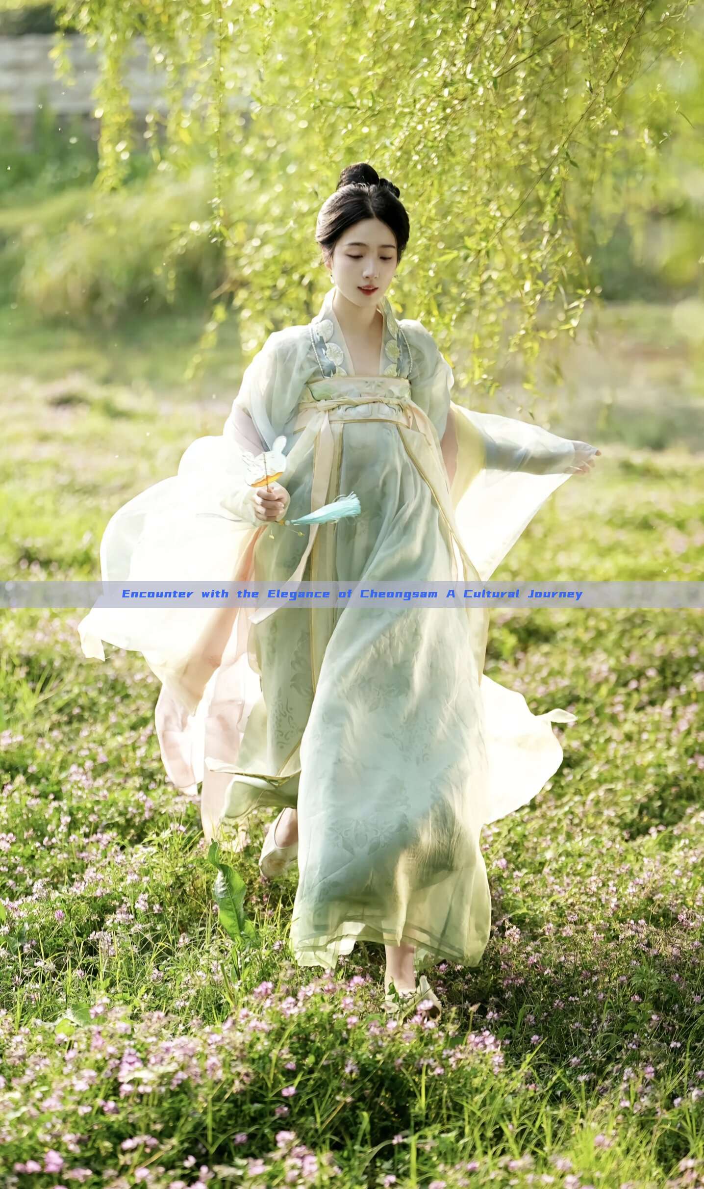 Encounter with the Elegance of Cheongsam A Cultural Journey