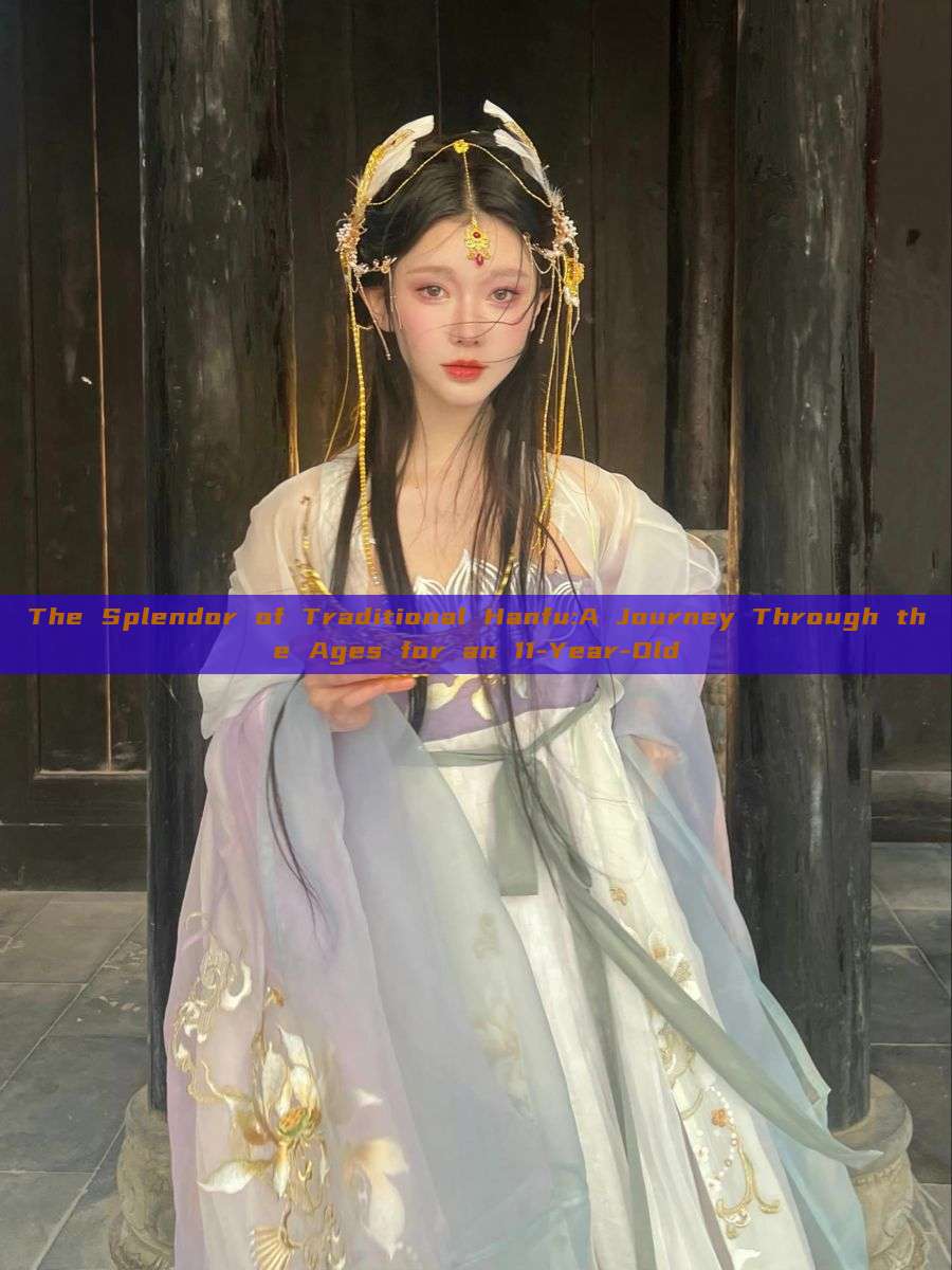 The Splendor of Traditional Hanfu:A Journey Through the Ages for an 11-Year-Old The Splendor of Traditional Hanfu:A Journey Through the Ages for an 11-Year-Old