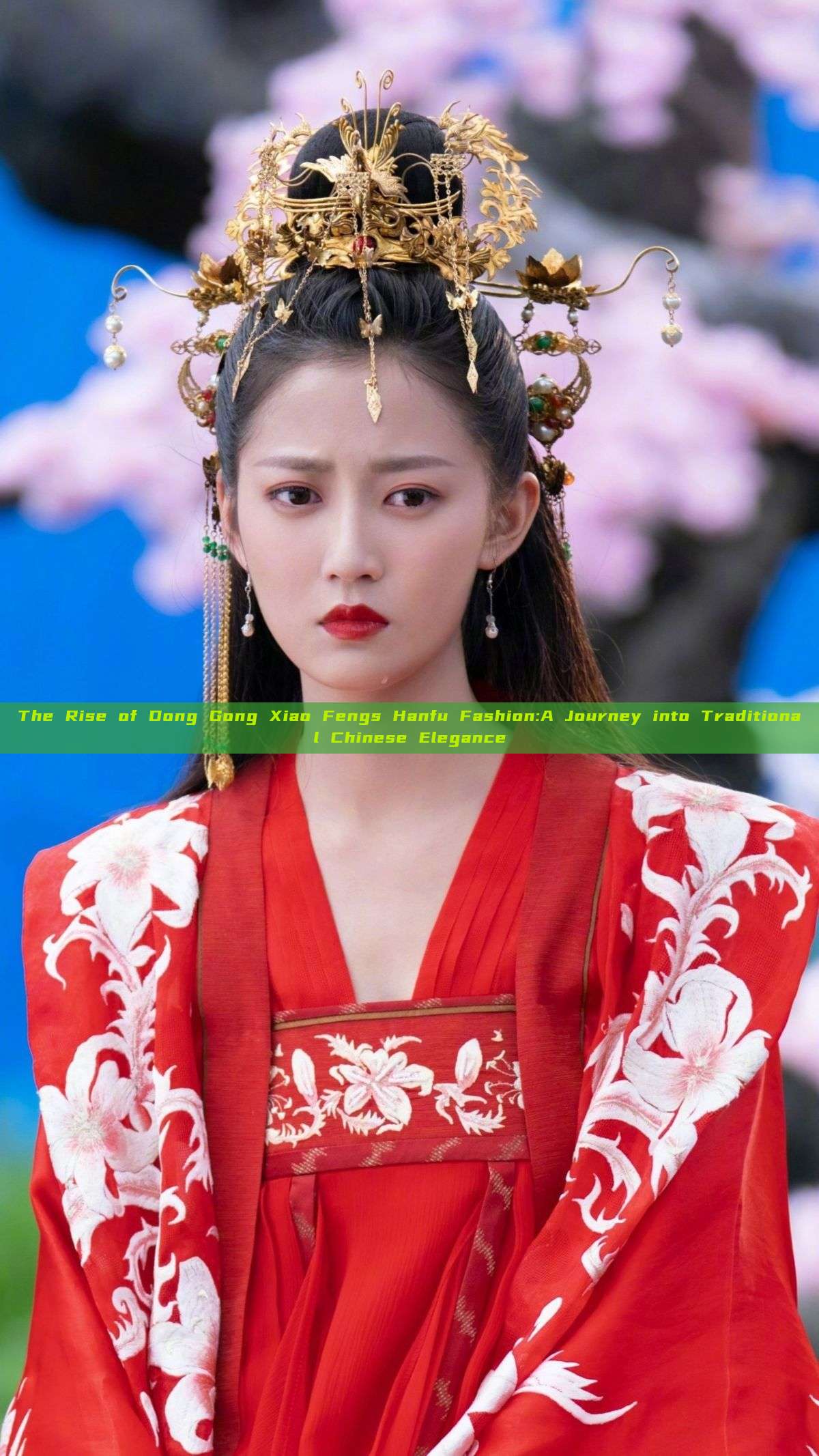 The Rise of Dong Gong Xiao Fengs Hanfu Fashion:A Journey into Traditional Chinese Elegance