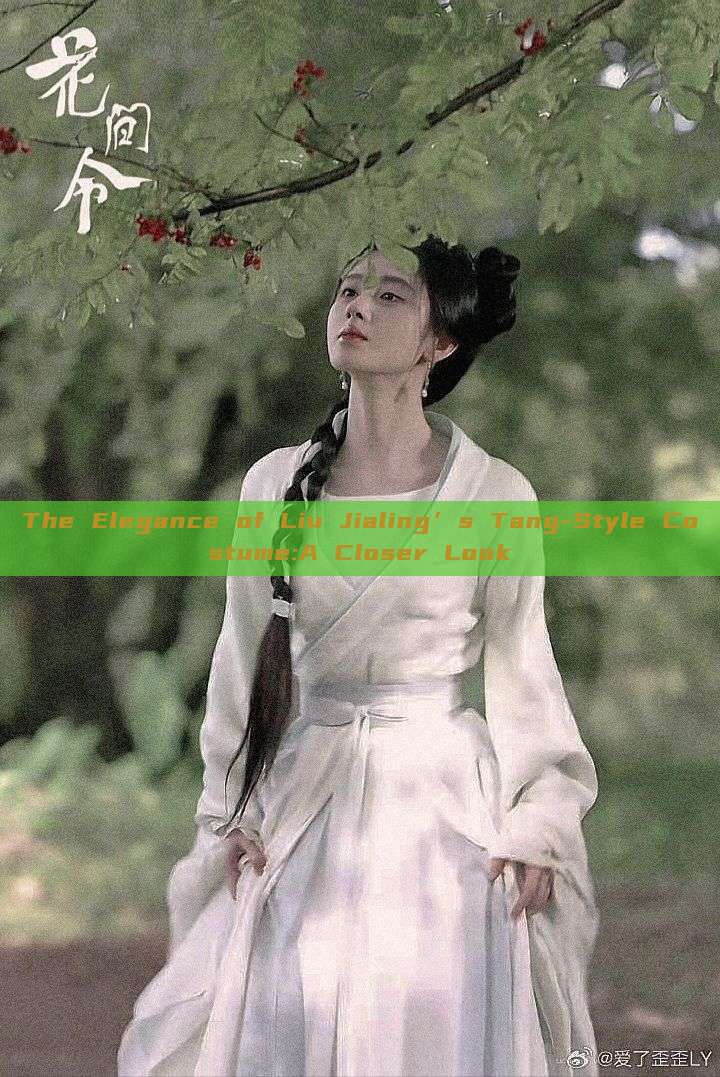 The Elegance of Liu Jialing’s Tang-Style Costume:A Closer Look