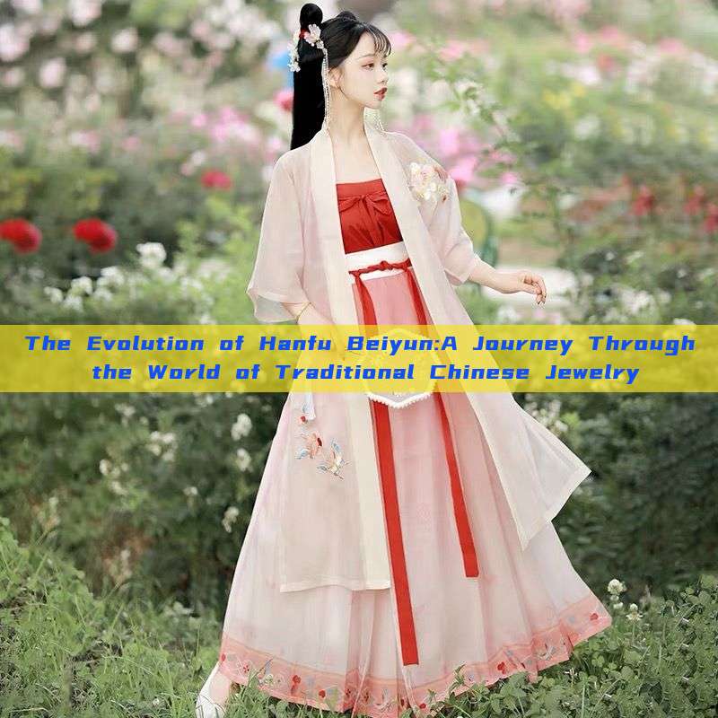 The Evolution of Hanfu Beiyun:A Journey Through the World of Traditional Chinese Jewelry The Evolution of Hanfu Beiyun:A Journey Through the World of Traditional Chinese Jewelry