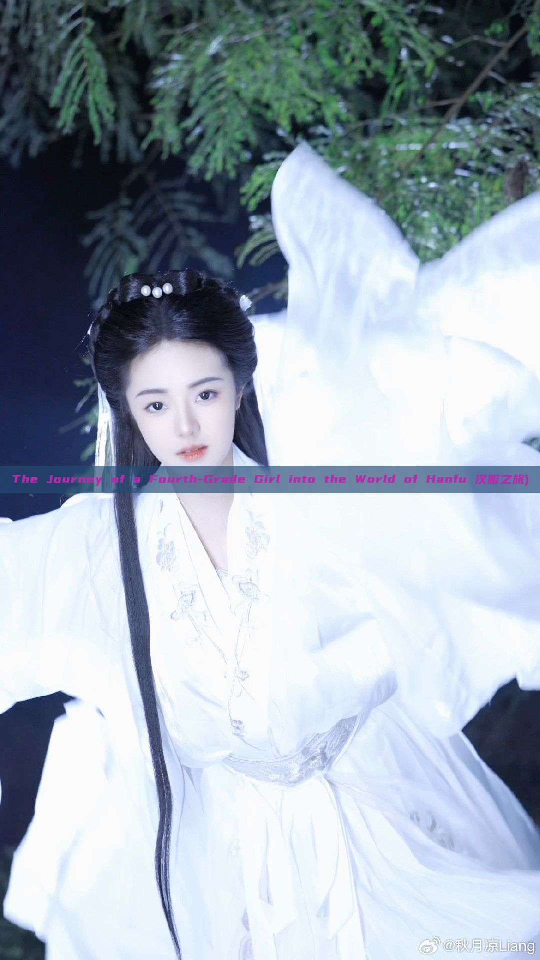 The Journey of a Fourth-Grade Girl into the World of Hanfu 汉服之旅) The Journey of a Fourth-Grade Girl into the World of Hanfu 汉服之旅)