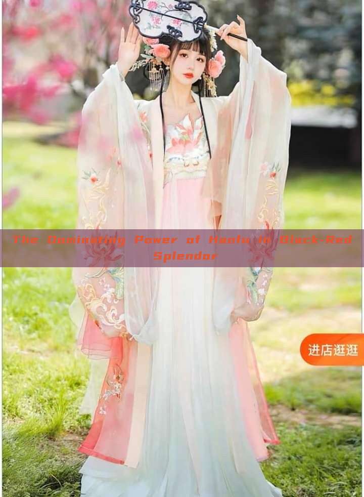 The Dominating Power of Hanfu in Black-Red Splendor The Dominating Power of Hanfu in Black-Red Splendor