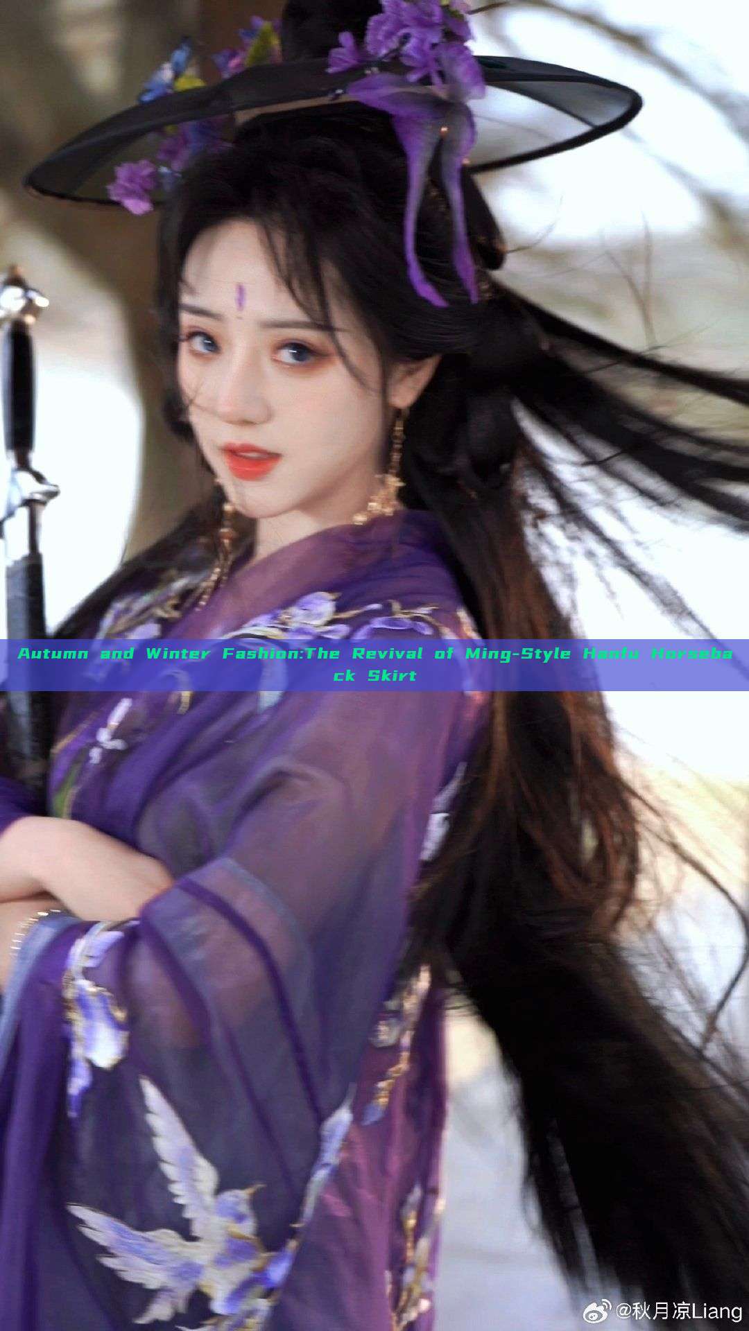 Autumn and Winter Fashion:The Revival of Ming-Style Hanfu Horseback Skirt Autumn and Winter Fashion:The Revival of Ming-Style Hanfu Horseback Skirt