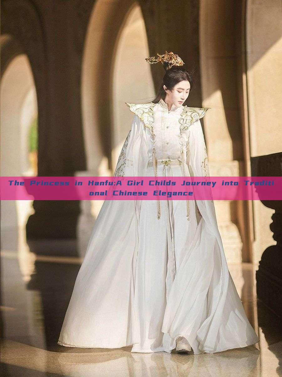 The Princess in Hanfu:A Girl Childs Journey into Traditional Chinese Elegance The Princess in Hanfu:A Girl Childs Journey into Traditional Chinese Elegance