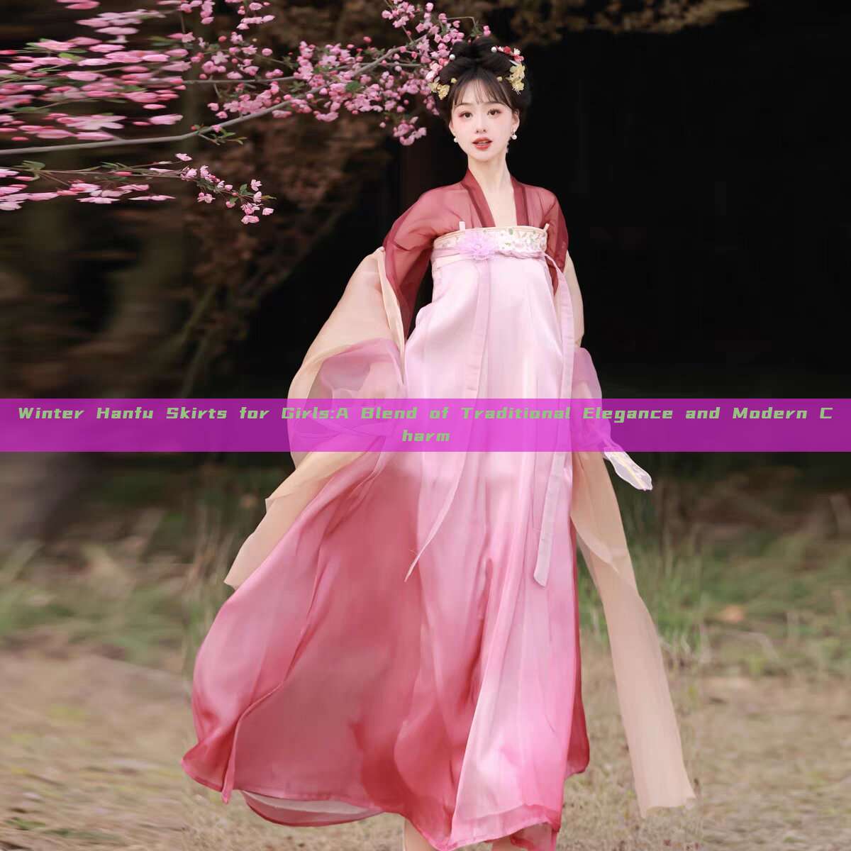 Winter Hanfu Skirts for Girls:A Blend of Traditional Elegance and Modern Charm Winter Hanfu Skirts for Girls:A Blend of Traditional Elegance and Modern Charm