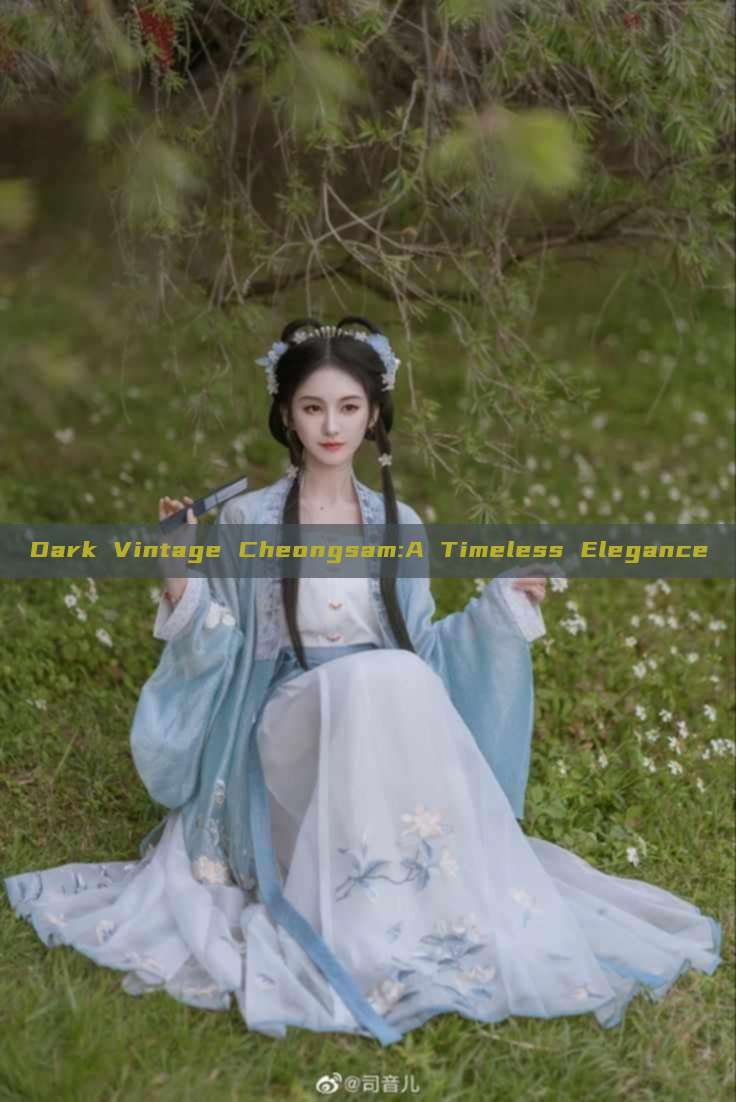 Dark Vintage Cheongsam:A Timeless Elegance Dark Vintage Cheongsam:A Timeless Elegance