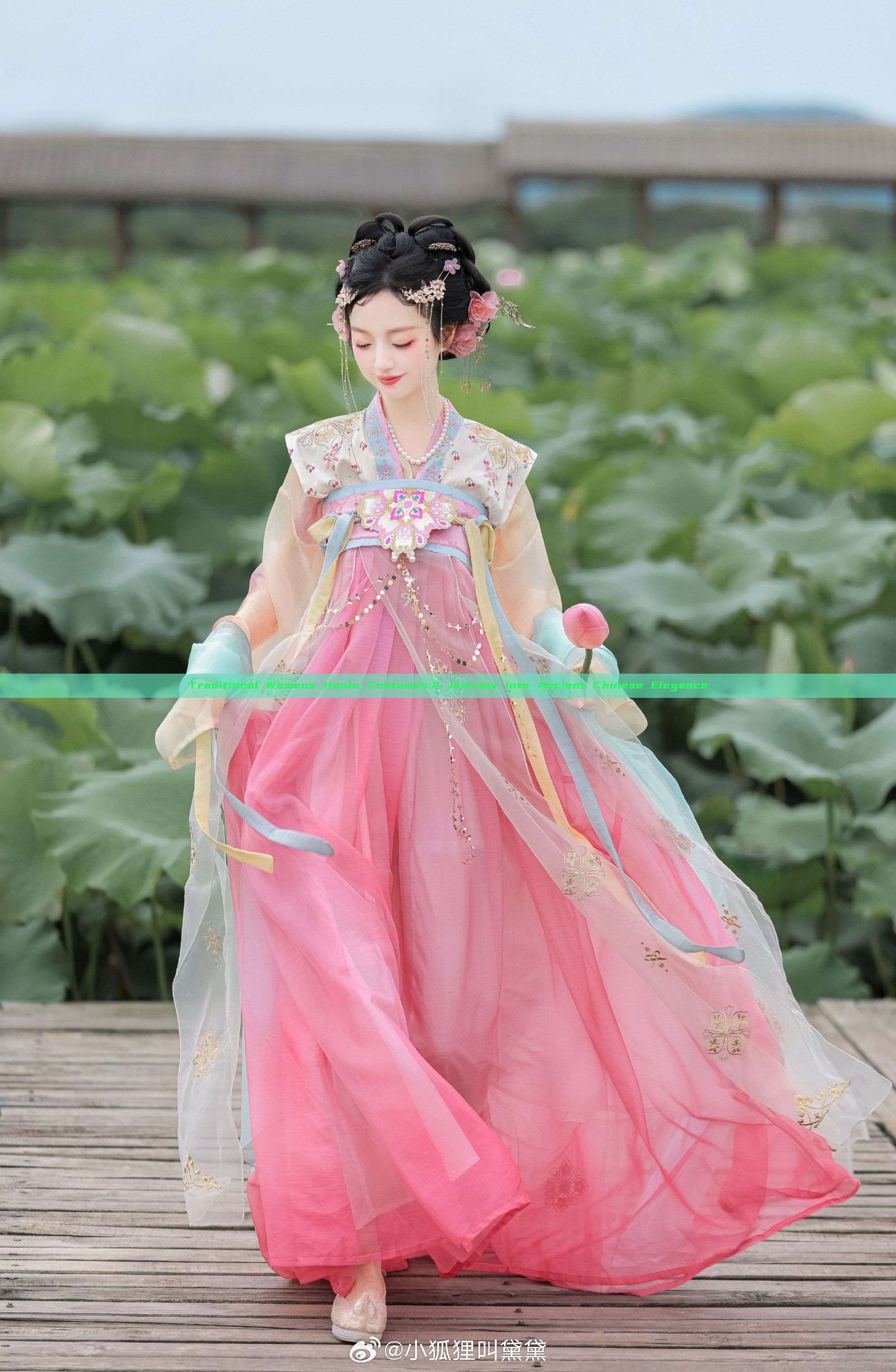 Traditional Womens Hanfu Costumes:A Journey into Ancient Chinese Elegance Traditional Womens Hanfu Costumes:A Journey into Ancient Chinese Elegance