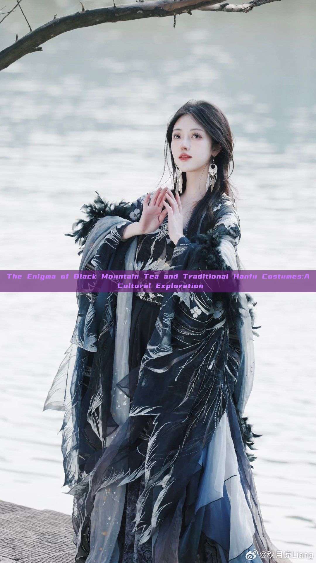 The Enigma of Black Mountain Tea and Traditional Hanfu Costumes:A Cultural Exploration The Enigma of Black Mountain Tea and Traditional Hanfu Costumes:A Cultural Exploration