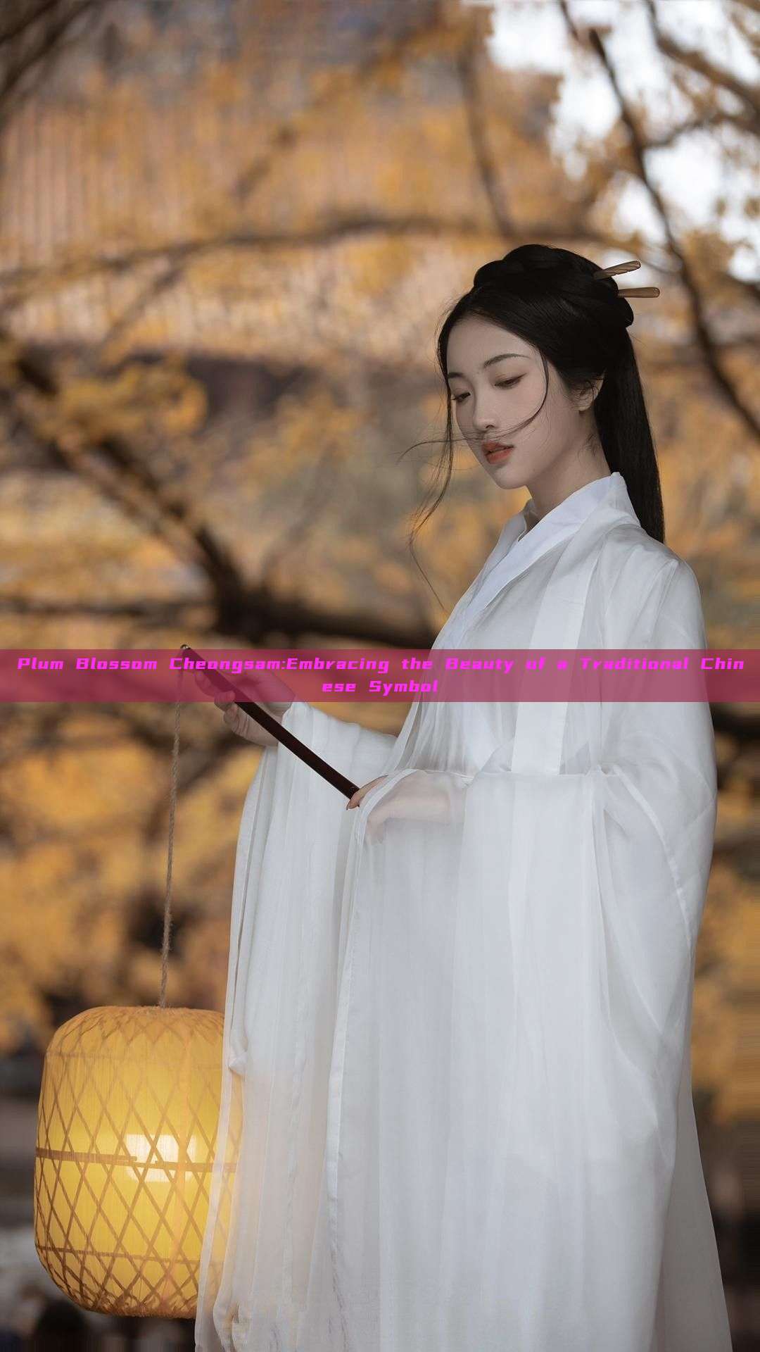 Plum Blossom Cheongsam:Embracing the Beauty of a Traditional Chinese Symbol Plum Blossom Cheongsam:Embracing the Beauty of a Traditional Chinese Symbol
