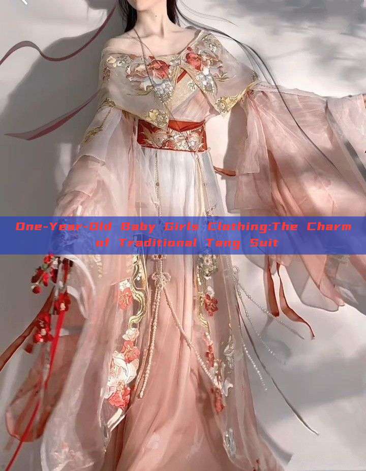 One-Year-Old Baby Girls Clothing:The Charm of Traditional Tang Suit One-Year-Old Baby Girls Clothing:The Charm of Traditional Tang Suit