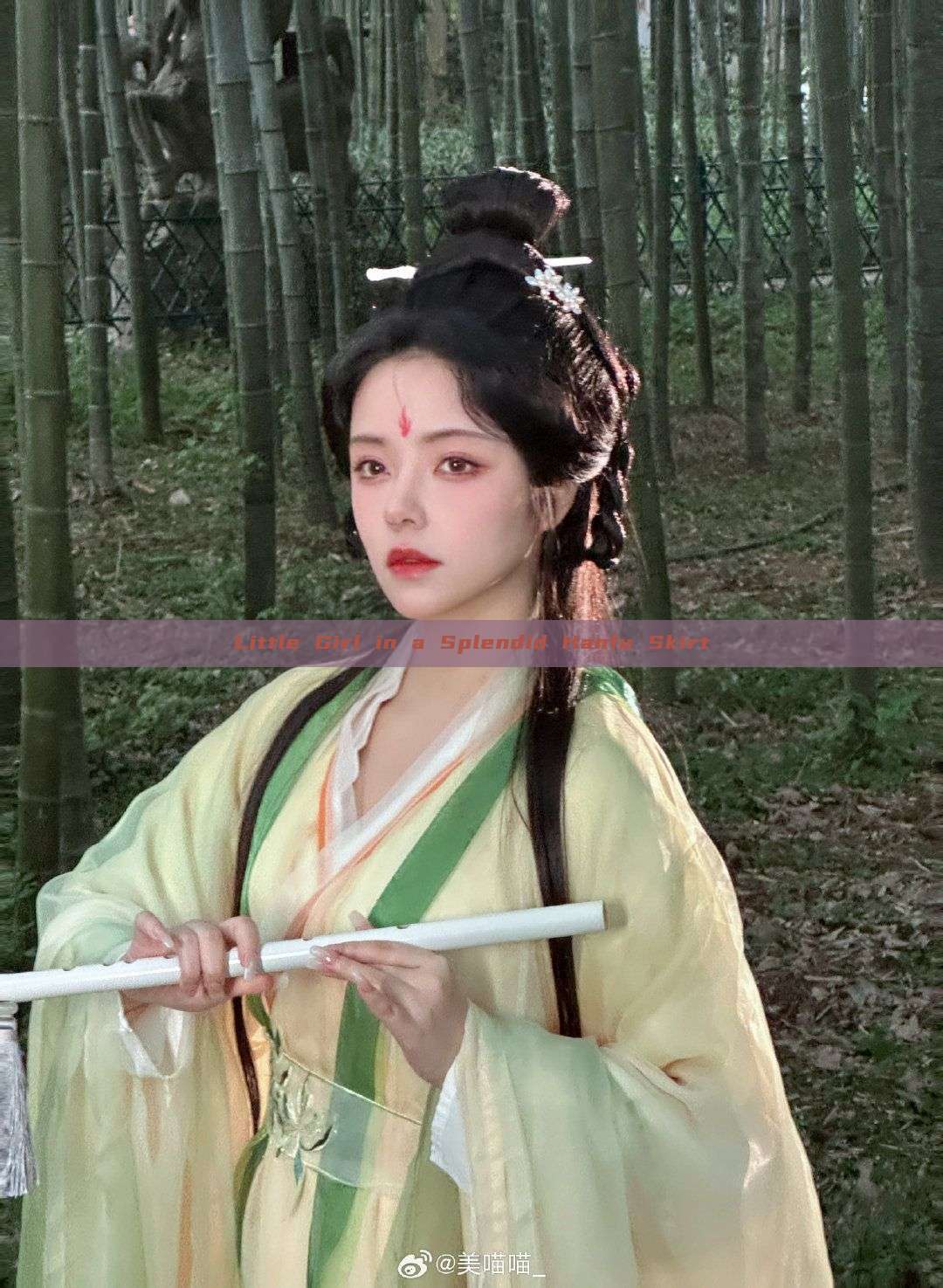 Little Girl in a Splendid Hanfu Skirt