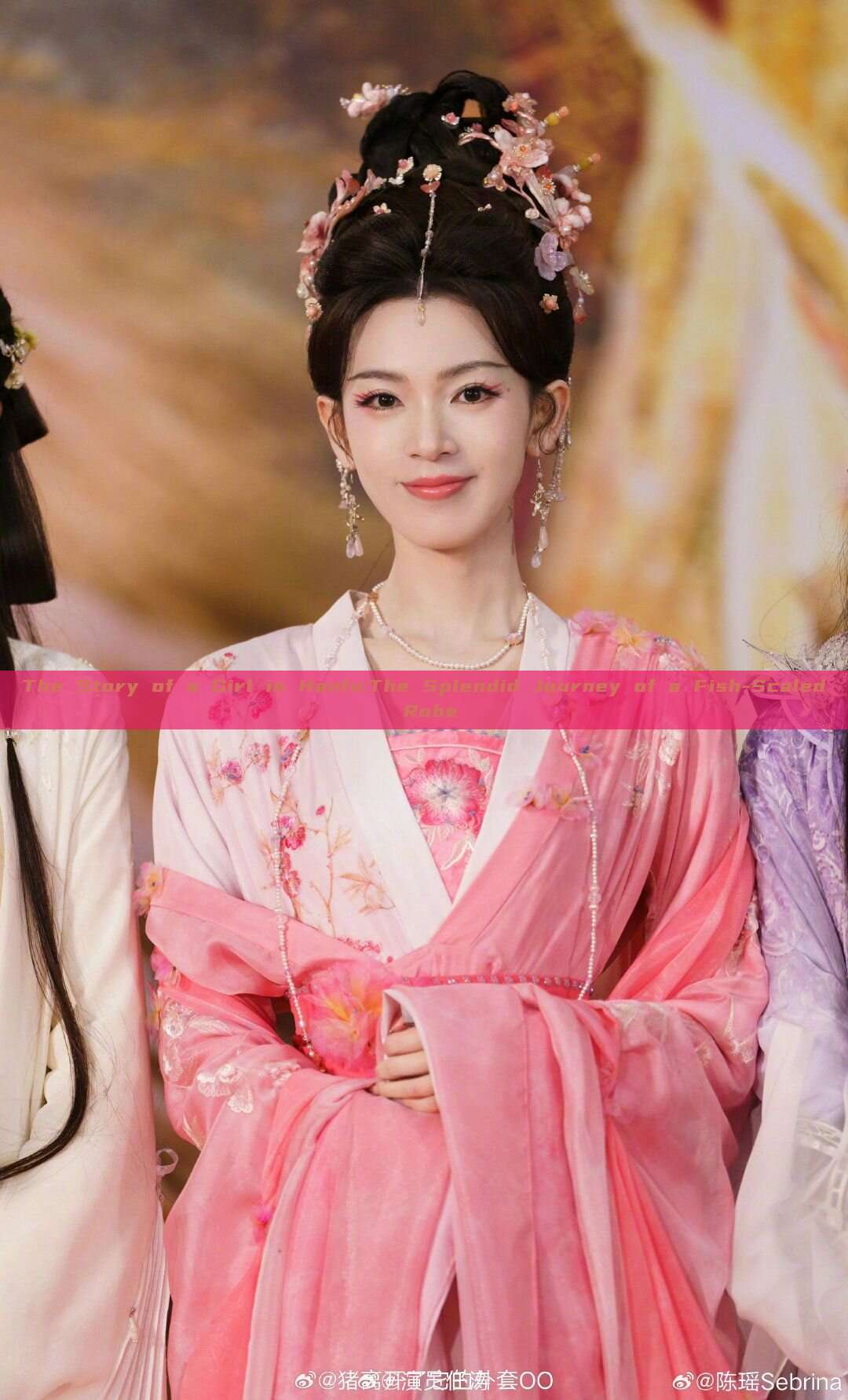 The Story of a Girl in Hanfu:The Splendid Journey of a Fish-Scaled Robe The Story of a Girl in Hanfu:The Splendid Journey of a Fish-Scaled Robe