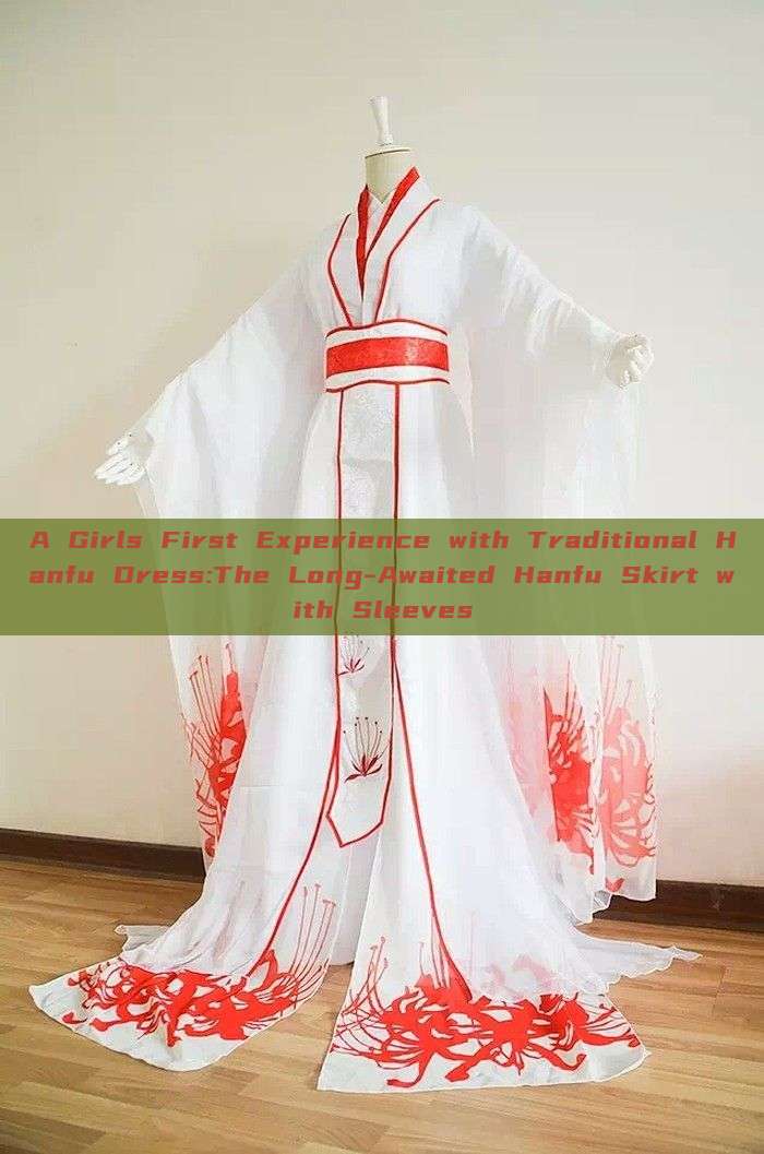 A Girls First Experience with Traditional Hanfu Dress:The Long-Awaited Hanfu Skirt with Sleeves A Girls First Experience with Traditional Hanfu Dress:The Long-Awaited Hanfu Skirt with Sleeves