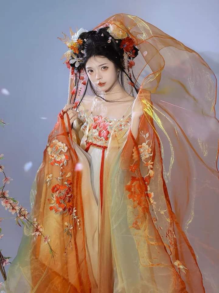 Winter Maimi Skirt for Hanfu Girls:The Enchantment of a Traditional Hanfu Dress Winter Maimi Skirt for Hanfu Girls:The Enchantment of a Traditional Hanfu Dress