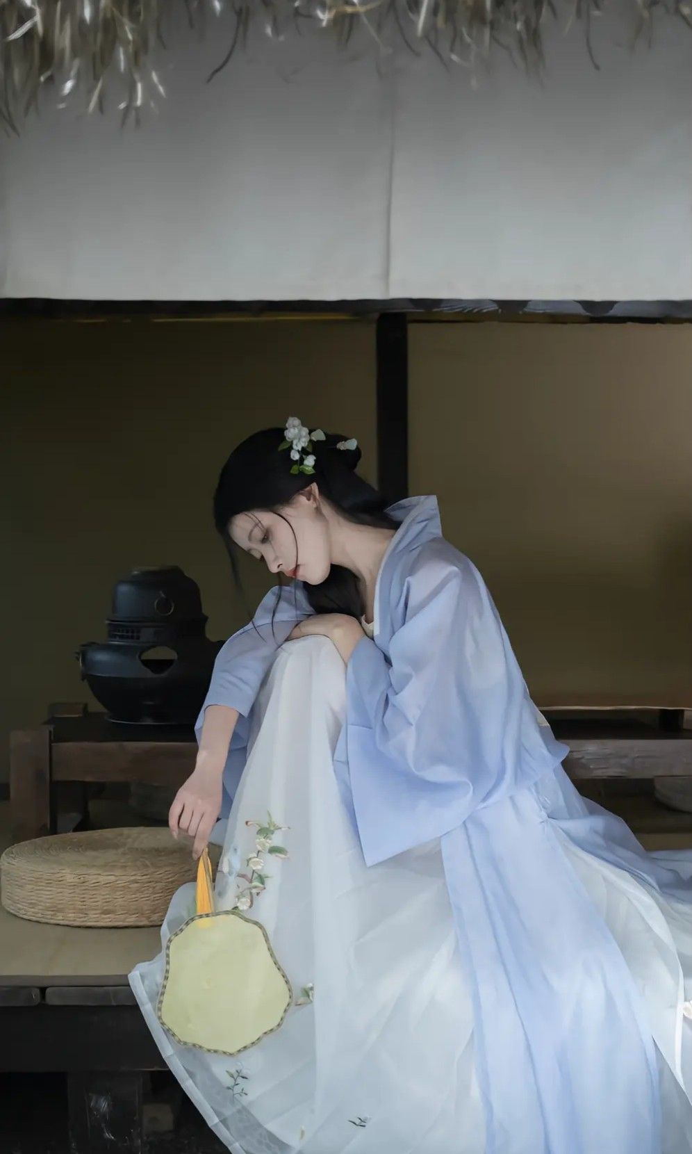 Elegance and Tradition:The New Chinese Style of Ancient Hanfu Fashion for Women Elegance and Tradition:The New Chinese Style of Ancient Hanfu Fashion for Women
