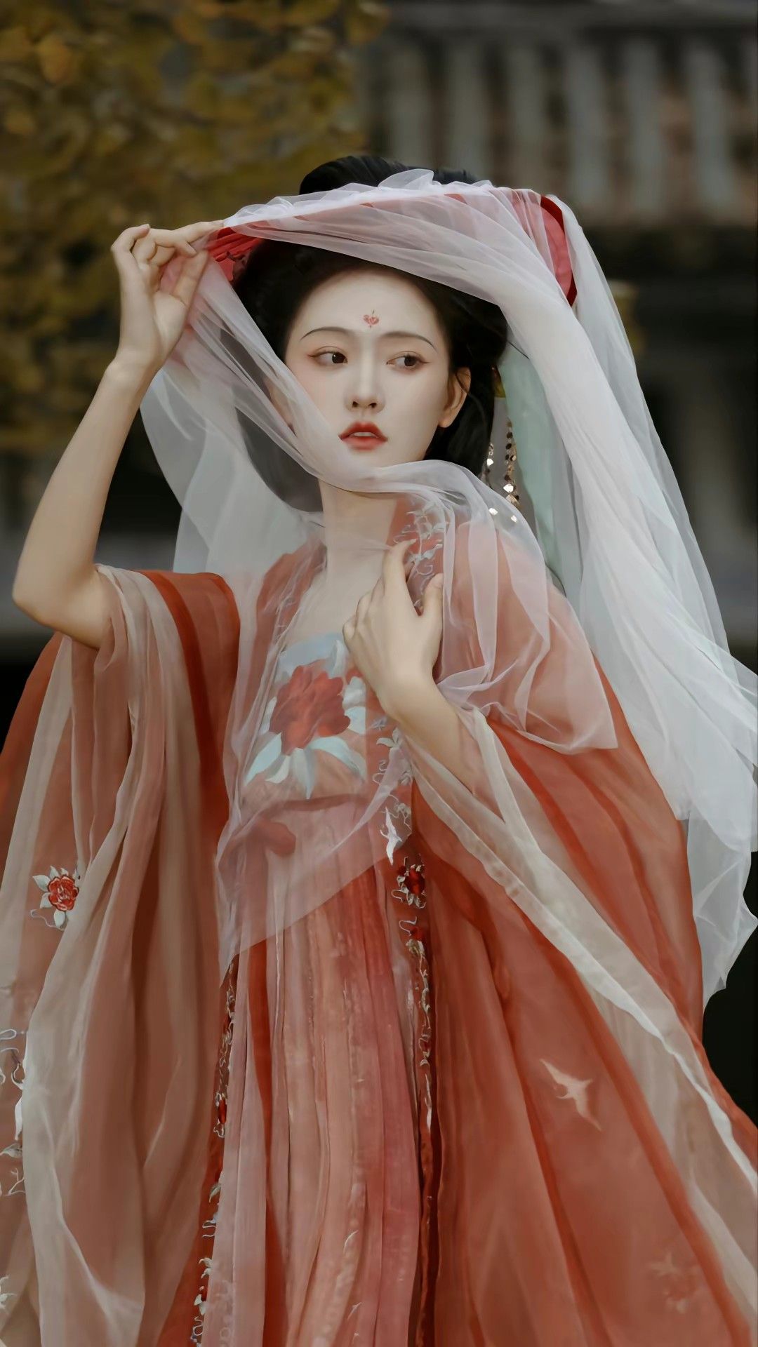 Winter Cheongsam Ensemble Embracing Traditional Elegance with Modern Comfort