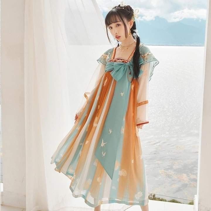 The Evolution of Traditional Chinese Clothing:The Unique Charm of Wuyi Hanfu The Evolution of Traditional Chinese Clothing:The Unique Charm of Wuyi Hanfu