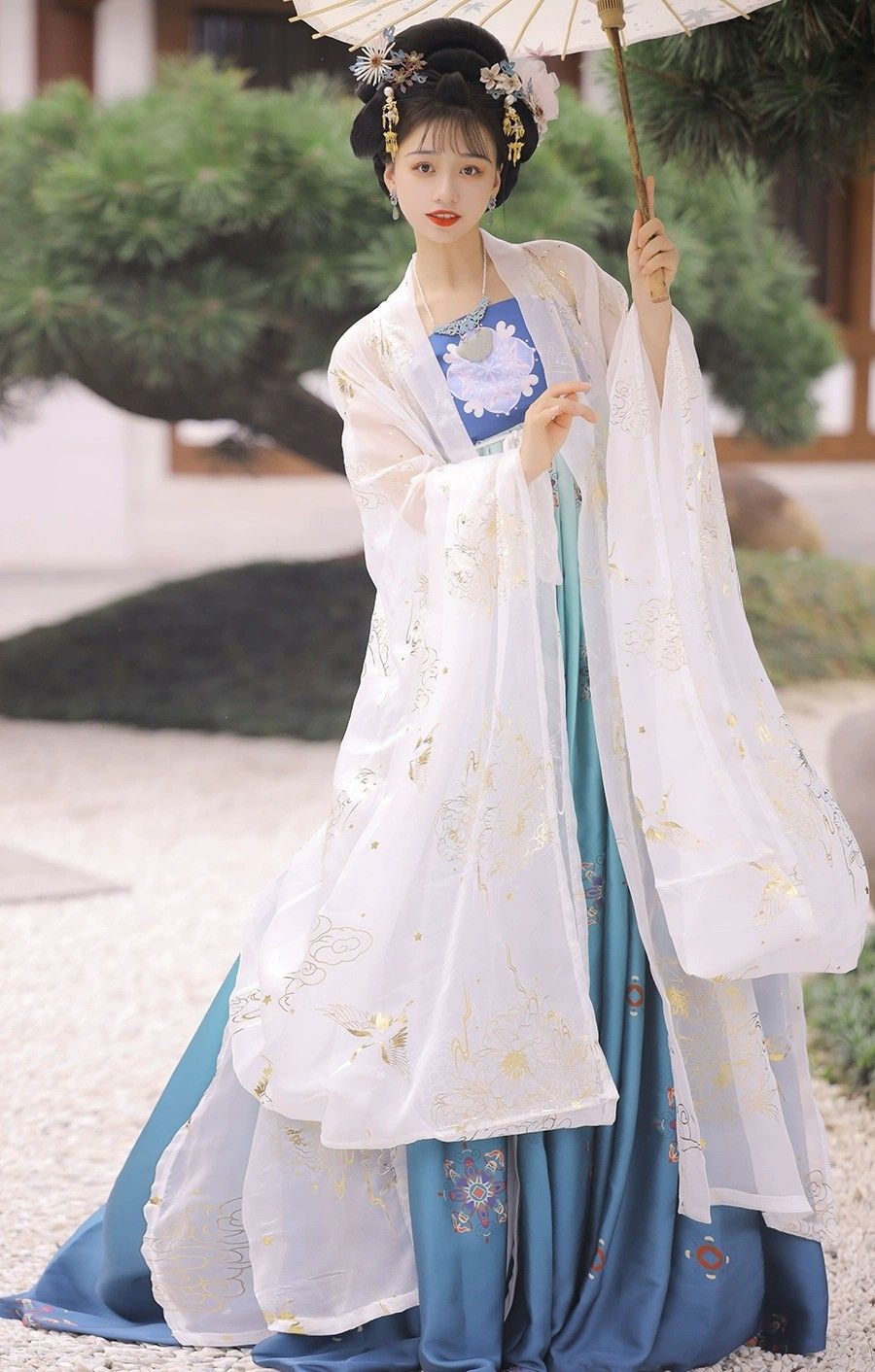 Luxury Chinese-Style Tang Costume Womens Top for Autumn Winter Luxury Chinese-Style Tang Costume Womens Top for Autumn Winter